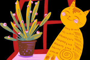 热门影片抢先看｜aaa永久在线观看资源更新速度评测，aaal