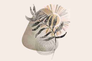 海角官网爆款内容打造秘籍｜社交玩法揭秘，海角海鲜料理旗舰店怎么样