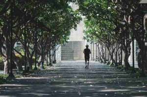 高清视频资源｜欧美一区二区三区会员权益详细解读