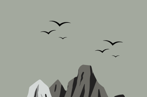 黑料网热点事件全记录：调查报告