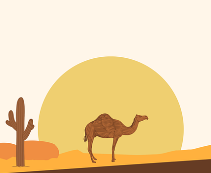 流量增长攻略｜国产探花内容审核标准一览