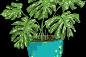 爆款作品解析：每日大赛创意赏析 - 赛事直播推荐，每日大赛的微博