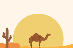 91网首发网红收入虚假宣传案例｜流量密码揭秘