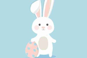 用户运营策略｜国产自产 1区2区 c隐私保护及合规指南，国产区_1