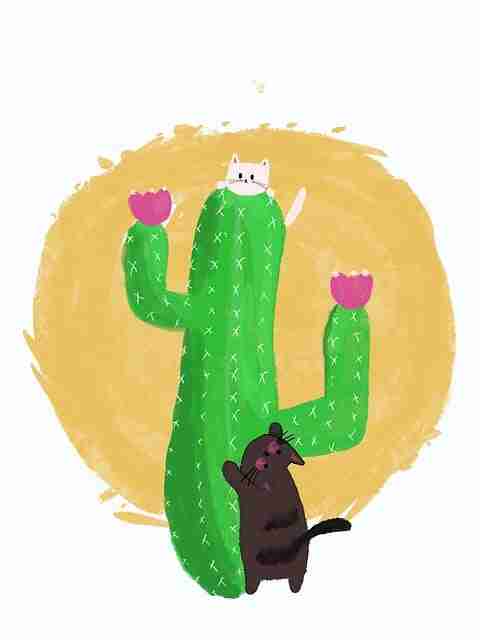 独家爆料|每日大赛短片制作必备技能指南,短片创作大赛