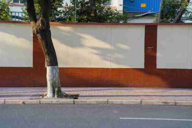 报名指南 - 每日大赛人气选手榜单发布，每日大赛bot