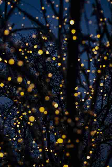 抖音成人版流量分发逻辑大揭秘|短视频内容策划