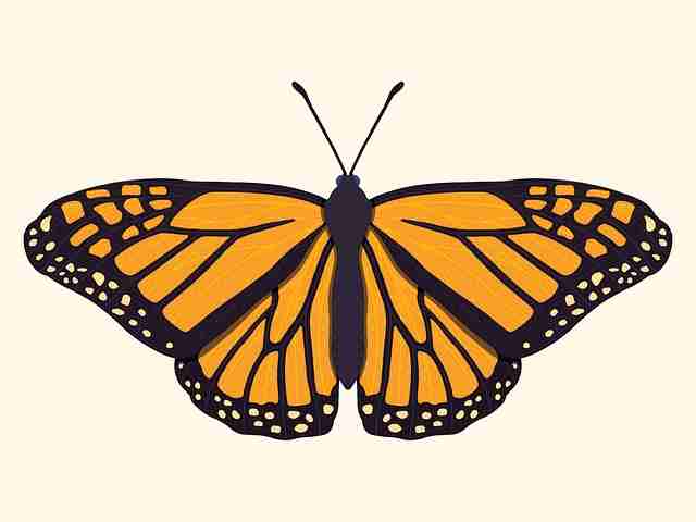 短剧合集精选 - 欧美一区二区三区短剧合集每日更新,欧美一首