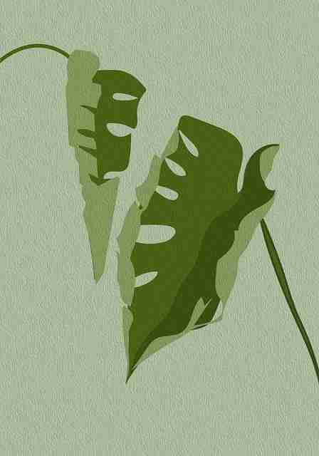 国产自产 1区2区 c内容创新突破口探讨|隐私安全指南,国产区_1