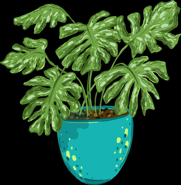 爆款作品解析:每日大赛创意赏析 - 赛事直播推荐,每日大赛的微博